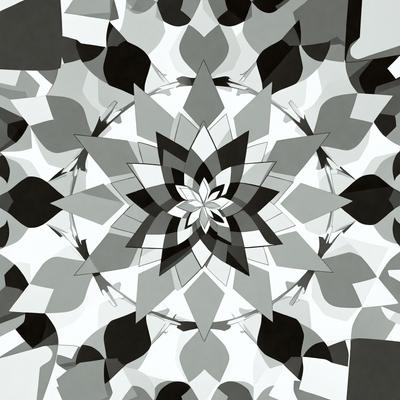 The primary subject of the image is a large, intricate, and colorful flower pattern. The setting is a black and white background, which adds a sense of depth and contrast to the pattern. The visual style is a combination of digital art and illustration, creating a unique and eye-catching design. The dominant colors are black, white, and various shades of gray, which contribute to the overall mood of the image, which is elegant and sophisticated.